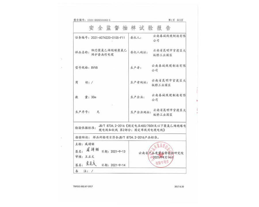 安全監(jiān)督抽樣試驗報告